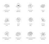 Birth Month Flower Necklace (1 disc included)-Gold